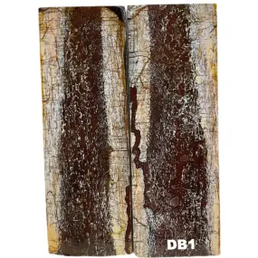 Dino Bone- Natural- Stabilized by Raffir