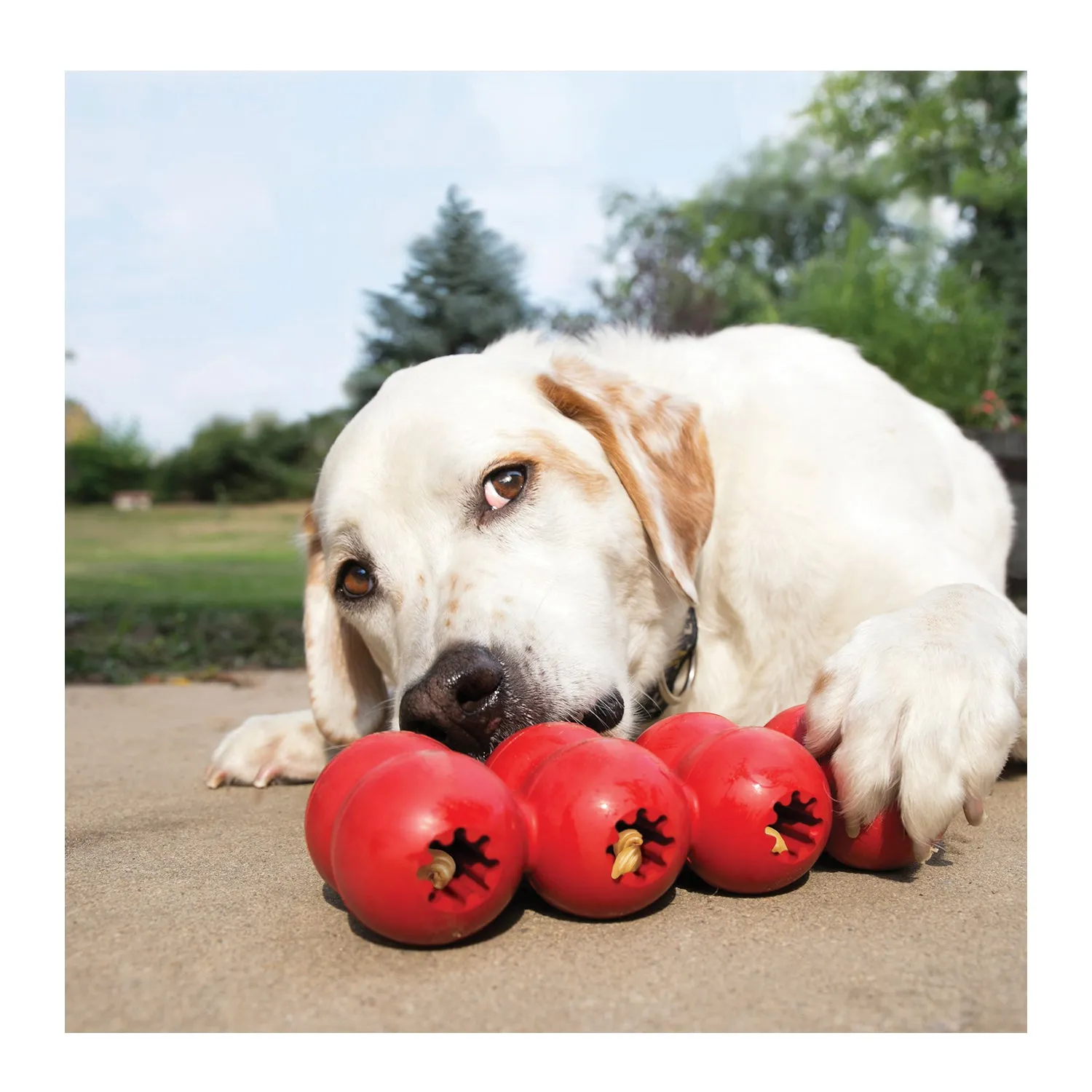 KONG Goodie Ribbon Dog Toy