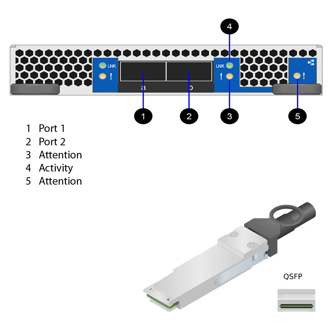 NetApp Adapter X91153A (ONTAP) IO Module bus with plug QSFP28 (2p 100GbE RoCE QSFP28)