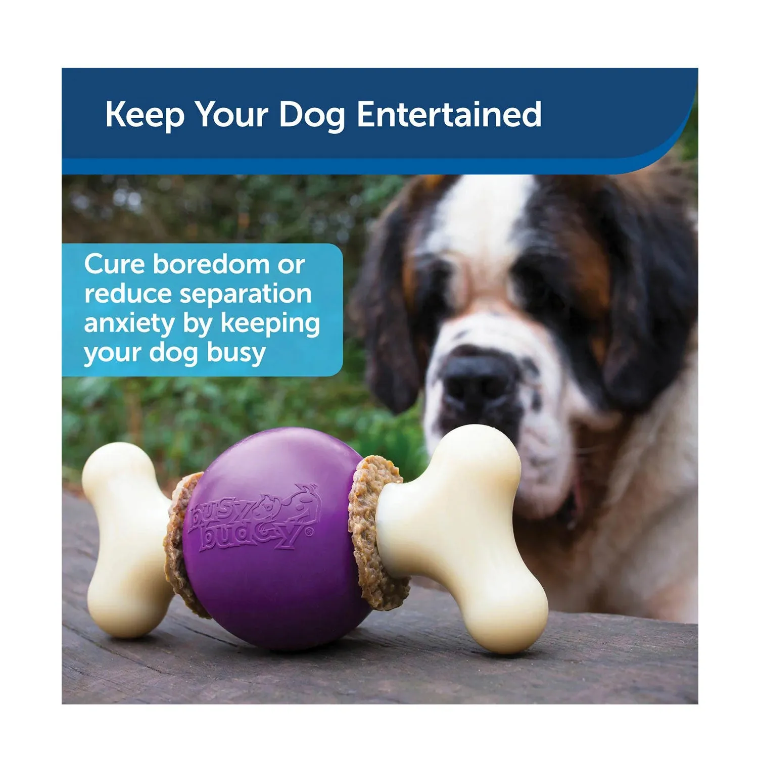 PetSafe Busy Buddy Bouncy Bone Dog Toy with Refillable Treats