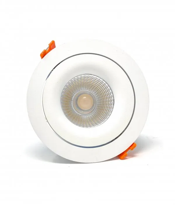 RAYHIL RAD35 12W 3.5" Recessed Gimbal LED Downlight Selectable CCT