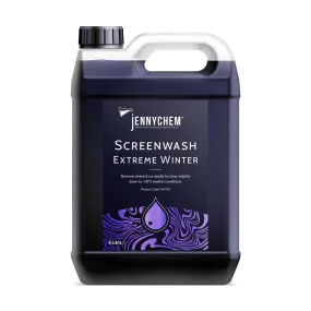 Screenwash: Extreme Winter (-28℃)