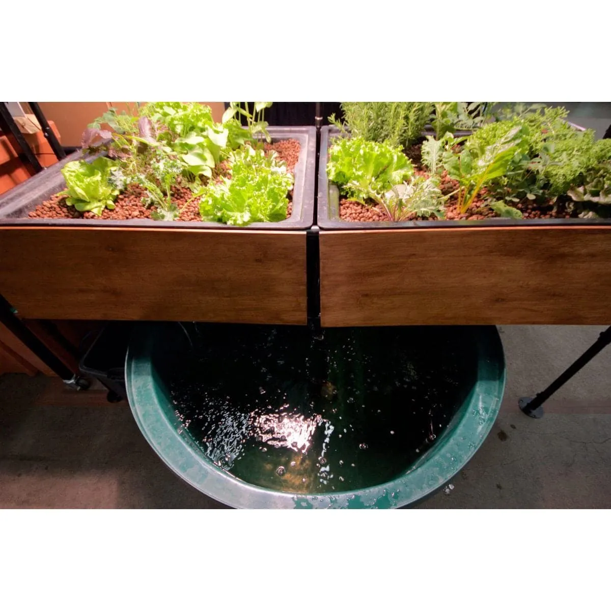 The Harmony Aquaponic System